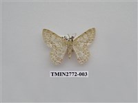 藏品(尺蛾343)的圖片